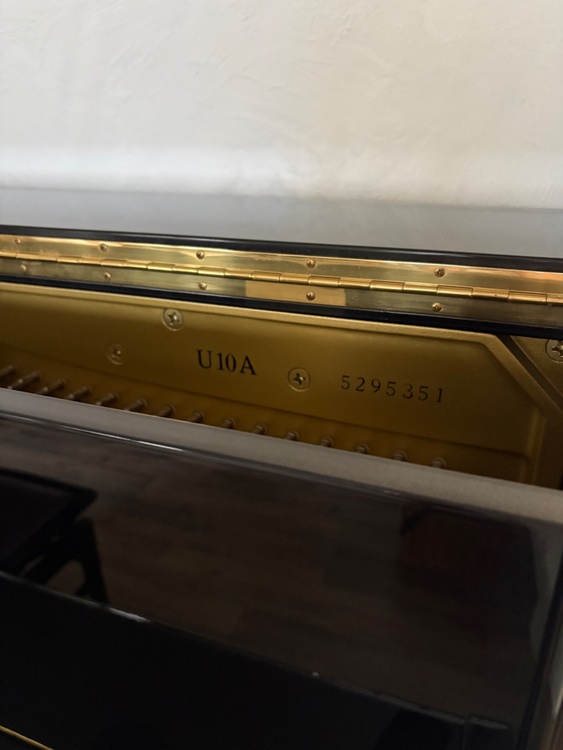 U10A（ピアノ・楽器・PA機材）の商品画像 - 査定依頼日：2026年5月22日 - 最高査定価格：77,000円