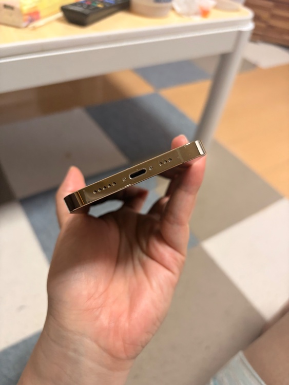 iPhone iPhone 13 Pro 256GB docomo（スマホ）の商品画像 - 査定依頼日：2026年6月25日 - 最高査定価格：55,000円