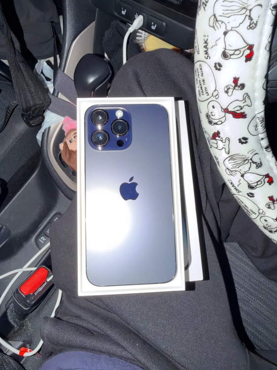 iPhone iPhone 14 Pro Max 256GB docomo（スマホ）の商品画像 - 査定依頼日：2026年9月23日 - 最高査定価格：81,000円