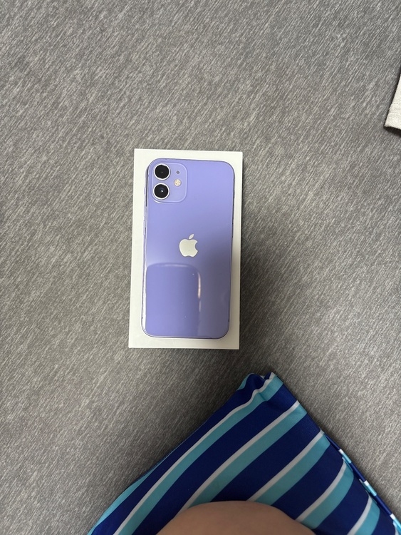 iPhone iPhone 12 mini 64GB SIMフリー（スマホ）の商品画像 - 査定依頼日：2026年9月9日 - 最高査定価格：19,000円