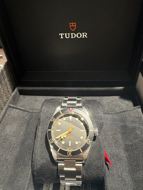 チューダー ブラックベイ （高級時計）の商品画像 - 査定依頼日：2025年5月22日 - 最高査定価格：410,000円