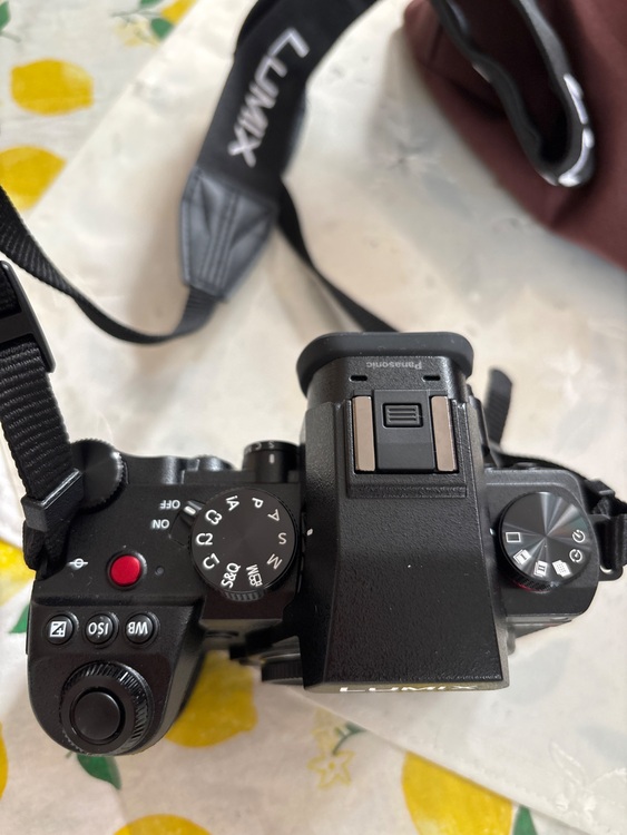 LUMIX S5Ⅱ（カメラ）の商品画像 - 査定依頼日：2025年8月10日 - 最高査定価格：120,000円