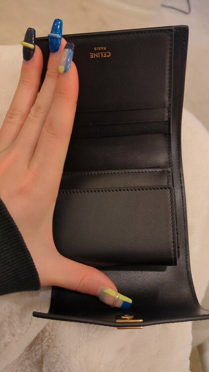 セリーヌ  （ブランドバッグ）の商品画像 - 査定依頼日：2026年2月22日 - 最高査定価格：50,000円