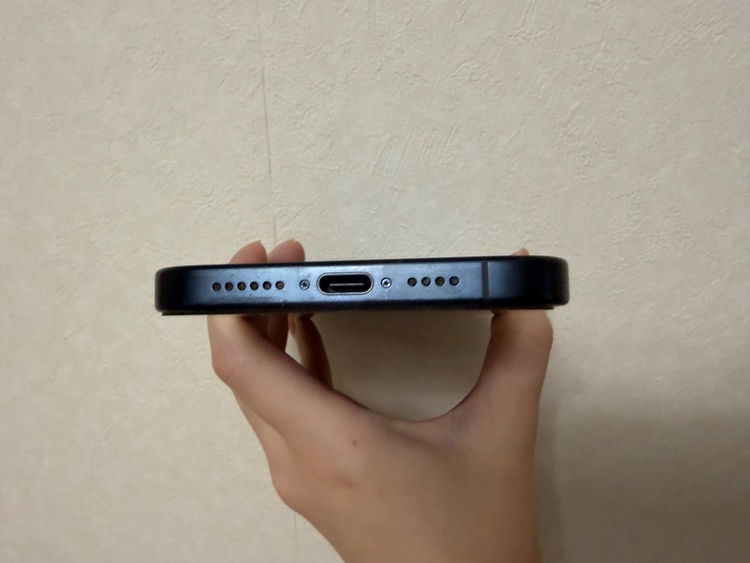 iPhone iPhone 15 Pro Max 256GB SIMフリー（スマホ）の商品画像 - 査定依頼日：2026年9月29日 - 最高査定価格：109,500円