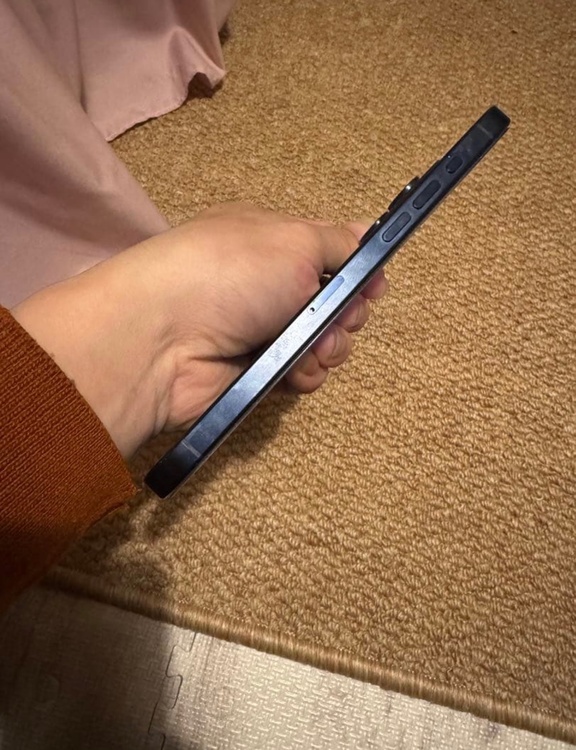 iPhone iPhone 15 Pro Max 1TB SIMフリー（スマホ）の商品画像 - 査定依頼日：2026年5月27日 - 最高査定価格：110,000円