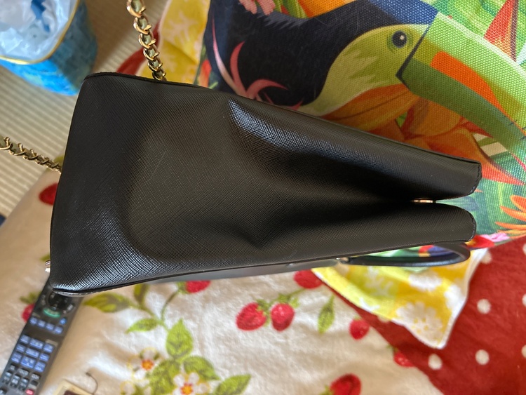 プラダ  （ブランドバッグ）の商品画像 - 査定依頼日：2026年2月22日 - 最高査定価格：100,000円