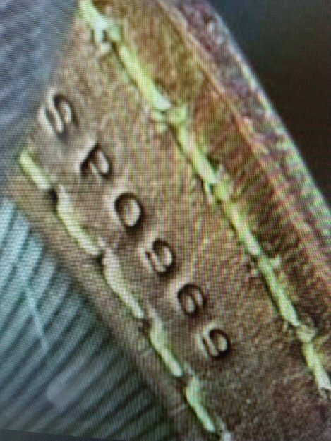 ルイヴィトン モノグラム （ブランドバッグ）の商品画像 - 査定依頼日：2025年12月21日 - 最高査定価格：35,000円