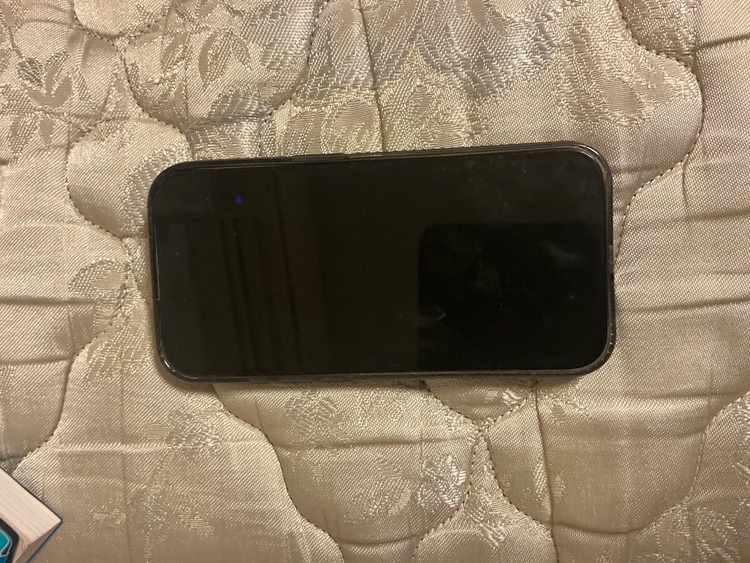 iPhone iPhone 15 Pro 256GB 楽天モバイル（スマホ）の商品画像 - 査定依頼日：2026年9月10日 - 最高査定価格：94,000円