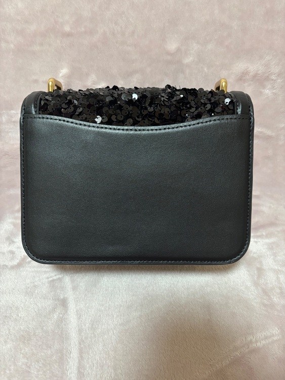 その他 コーチ （ブランドバッグ）の商品画像 - 査定依頼日：2025年6月5日 - 最高査定価格：5,000円