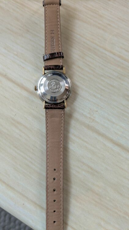 オメガ シーマスター 166033-TOOL 106（高級時計）の商品画像 - 査定依頼日：2025年6月20日 - 最高査定価格：100,000円