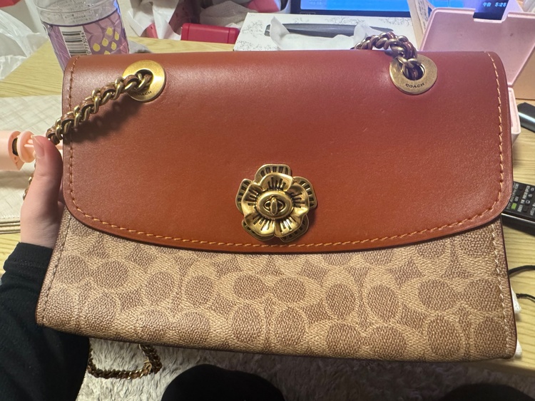 その他 コーチ （ブランドバッグ）の商品画像 - 査定依頼日：2026年2月8日 - 最高査定価格：3,500円