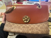 その他 コーチ （ブランドバッグ）の商品画像 - 査定依頼日：2026年2月8日 - 最高査定価格：3,500円