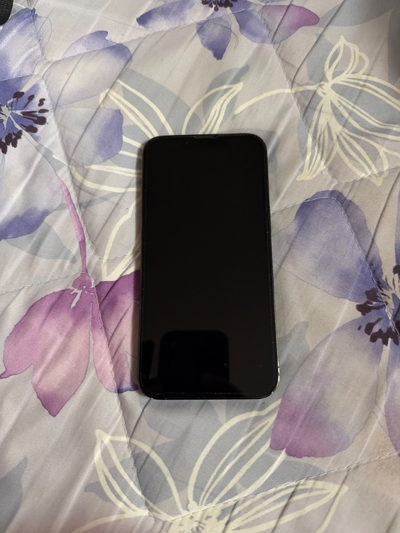 iPhone iPhone 13 Pro 256GB docomo（スマホ）の商品画像 - 査定依頼日：2026年9月27日 - 最高査定価格：48,500円