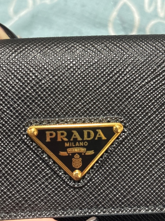 プラダ  （ブランドバッグ）の商品画像 - 査定依頼日：2026年2月1日 - 最高査定価格：100,000円