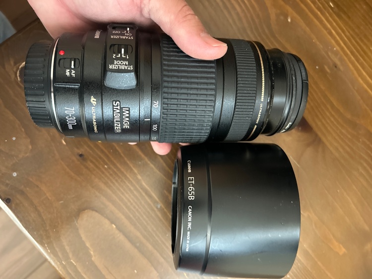 キヤノズームレンズEF 70-300mm 1:4-5.6 IS USM（カメラ）の商品画像 - 査定依頼日：2026年3月22日 - 最高査定価格：15,100円