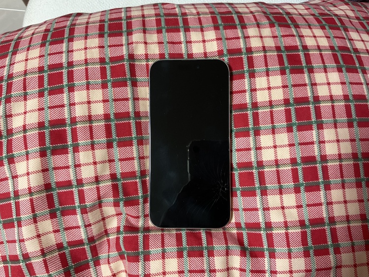iPhone iPhone 15 Pro 512GB SIMフリー（スマホ）の商品画像 - 査定依頼日：2026年7月13日 - 最高査定価格：105,000円