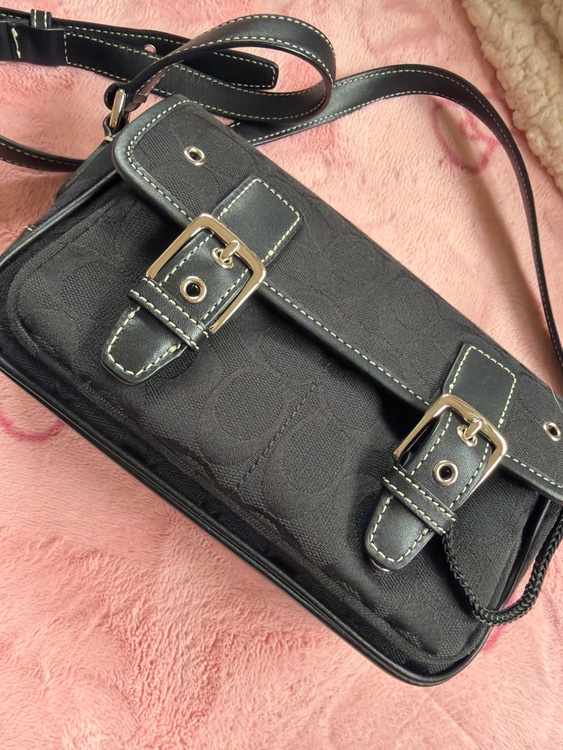 その他 コーチ （ブランドバッグ）の商品画像 - 査定依頼日：2026年3月25日 - 最高査定価格：2,500円