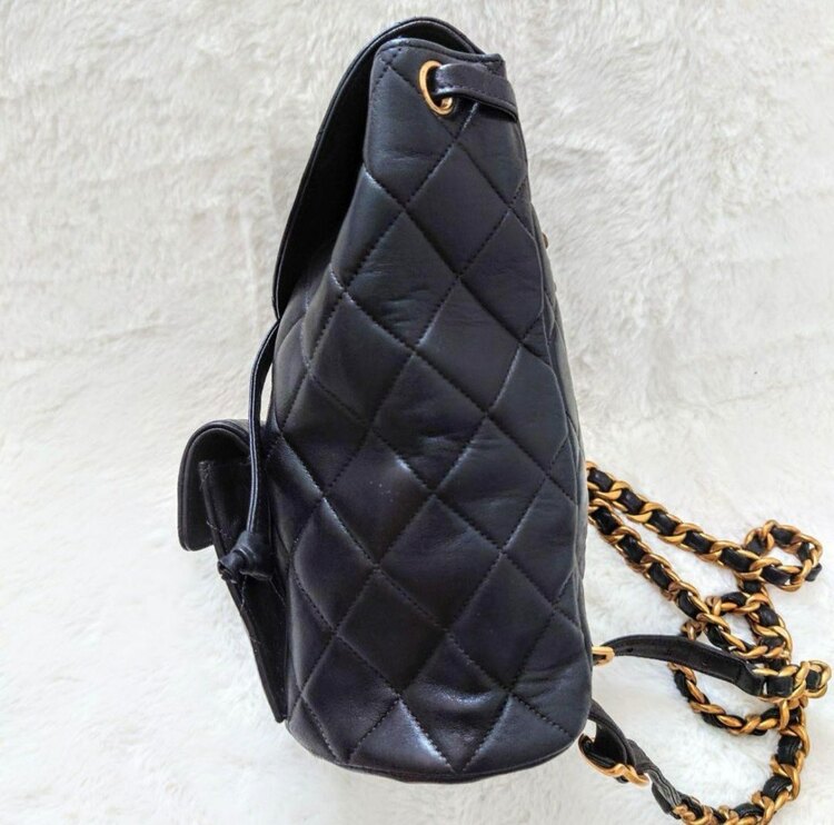 リュック（ブランドバッグ）の商品画像 - 査定依頼日：2025年2月15日 - 最高査定価格：350,000円