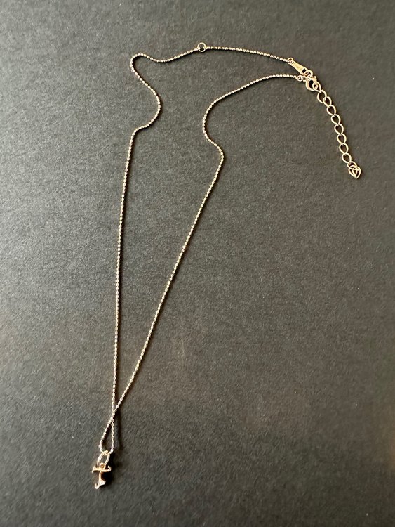 agete アガット　イニシャルネックレス（金・貴金属）の商品画像 - 査定依頼日：2023年9月7日 - 最高査定価格：10,000円