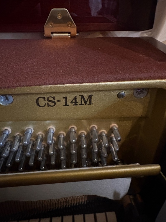 CS−14M（ピアノ・楽器・PA機材）の商品画像 - 査定依頼日：2026年3月16日 - 最高査定価格：20,000円