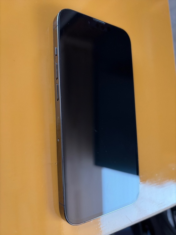 iPhone 13 Pro 256GB docomo（スマホ）の商品画像 - 査定依頼日：2026年4月6日 - 最高査定価格：49,000円