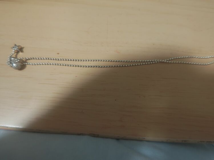 ネックレス（金・貴金属）の商品画像 - 査定依頼日：2025年9月29日 - 最高査定価格：300円