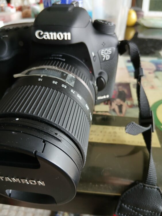 EOS7DMKⅡ（カメラ）の商品画像 - 査定依頼日：2026年7月1日 - 最高査定価格：45,000円