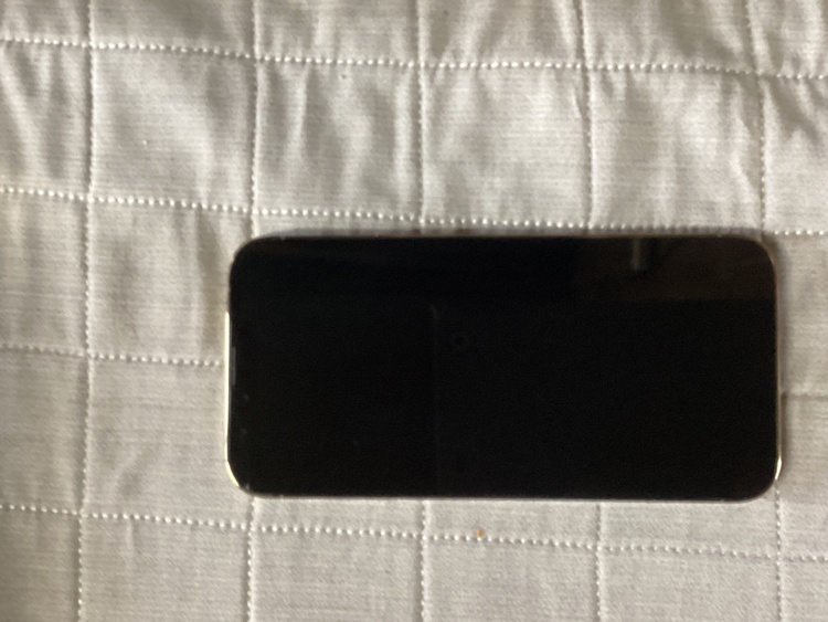iPhone13ProMAX256G（スマホ）の商品画像 - 査定依頼日：2026年6月6日 - 最高査定価格：33,000円