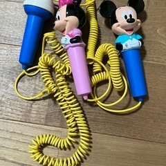 Disny　World　Family　Club（その他のおもちゃ）の商品画像 - 査定依頼日：2026年8月15日 - 最高査定価格：3,000円