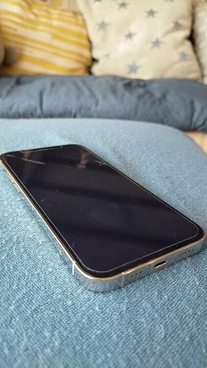 iPhone iPhone 12 Pro 256GB SIMフリー（スマホ）の商品画像 - 査定依頼日：2026年9月1日 - 最高査定価格：33,500円