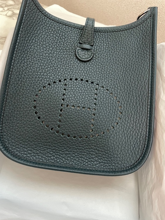 エヴリンTPM（ブランドバッグ）の商品画像 - 査定依頼日：2025年6月5日 - 最高査定価格：350,000円