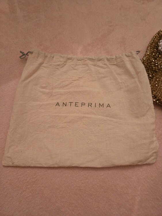 その他 その他 （ブランドバッグ）の商品画像 - 査定依頼日：2026年4月7日 - 最高査定価格：2,000円