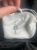 その他 コーチ （ブランドバッグ）の商品画像 - 査定依頼日：2026年4月10日 - 最高査定価格：2,000円