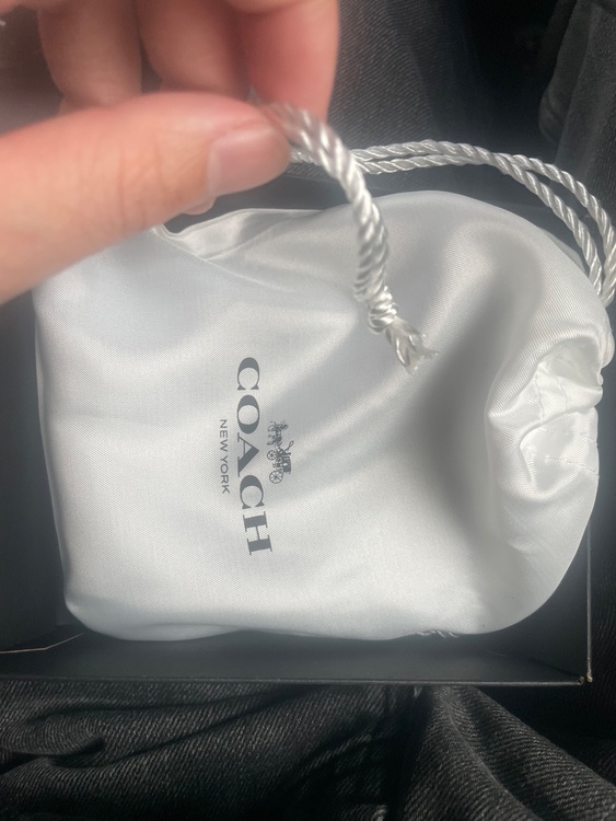 その他 コーチ （ブランドバッグ）の商品画像 - 査定依頼日：2026年4月10日 - 最高査定価格：2,000円