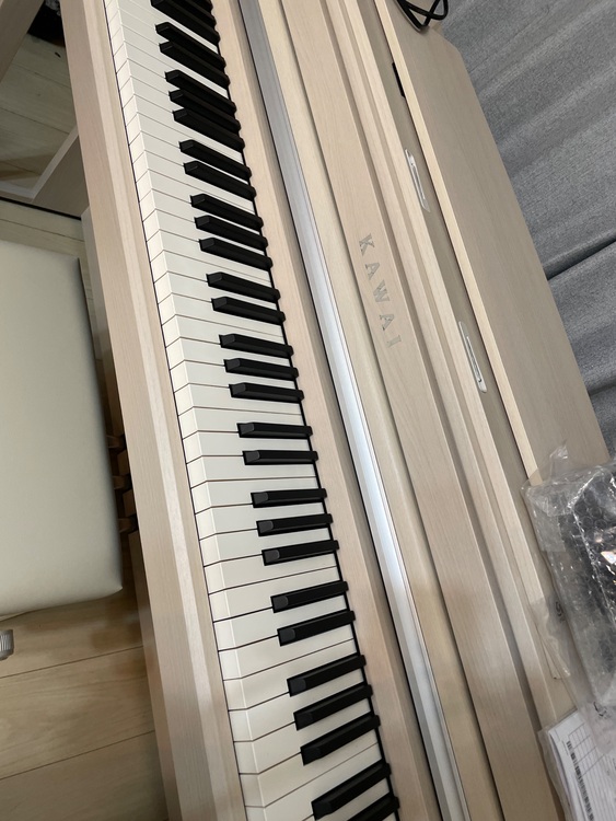 CA401 A（ピアノ・楽器・PA機材）の商品画像 - 査定依頼日：2025年8月27日 - 最高査定価格：18,000円