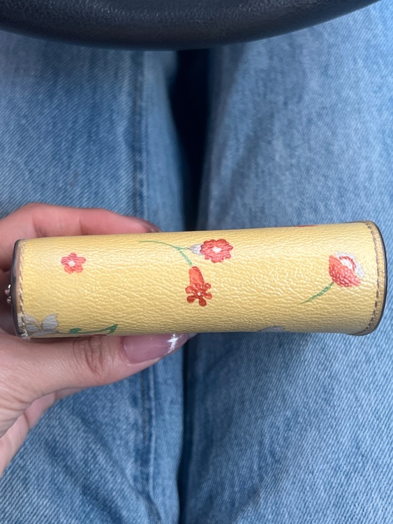 その他 コーチ （ブランドバッグ）の商品画像 - 査定依頼日：2025年8月22日 - 最高査定価格：4,000円