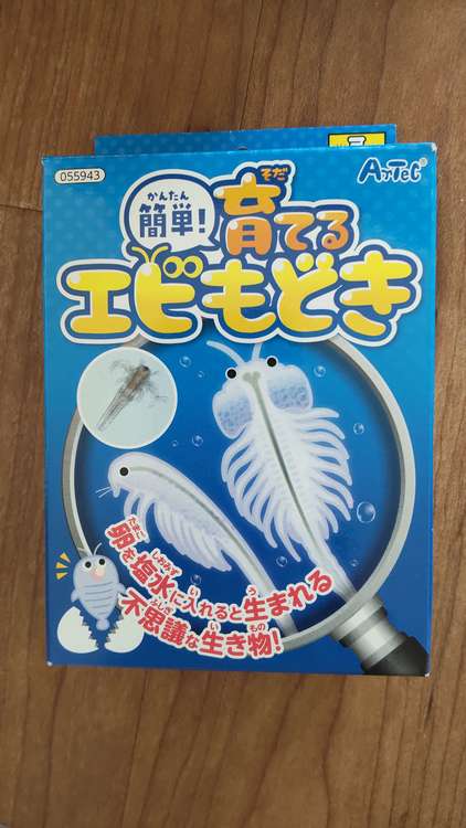 育てる エビもどき（その他のおもちゃ）の商品画像 - 査定依頼日：2023年11月5日