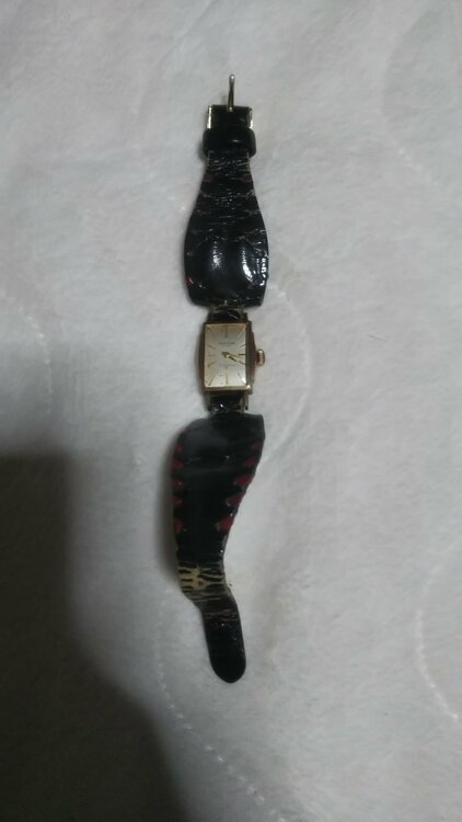 不明（高級時計）の商品画像 - 査定依頼日：2026年4月6日 - 最高査定価格：100円