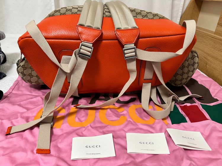 The North Face x Gucci バックパック（ブランドバッグ）の商品画像 - 査定依頼日：2025年8月31日 - 最高査定価格：100,000円