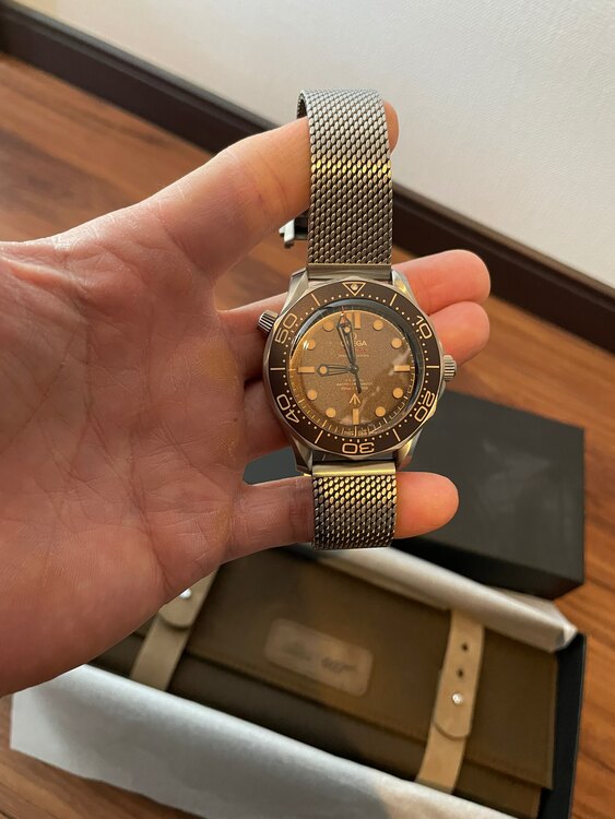 オメガ シーマスター ダイバー300 コーアクシャル マスタークロノメーター 0（高級時計）の商品画像 - 査定依頼日：2025年4月30日 - 最高査定価格：950,000円