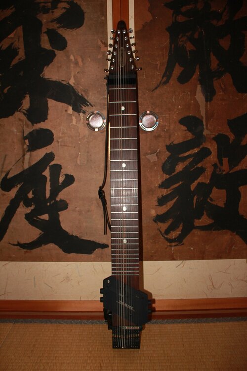 Chapman's Stick 12 strings Grand（ピアノ・楽器・PA機材）の商品画像 - 査定依頼日：2026年5月15日 - 最高査定価格：100,000円