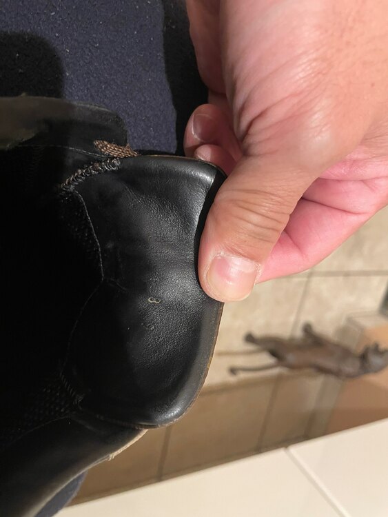 ルイヴィトンスニーカー（古着・ファッション）の商品画像 - 査定依頼日：2025年3月20日 - 最高査定価格：3,000円