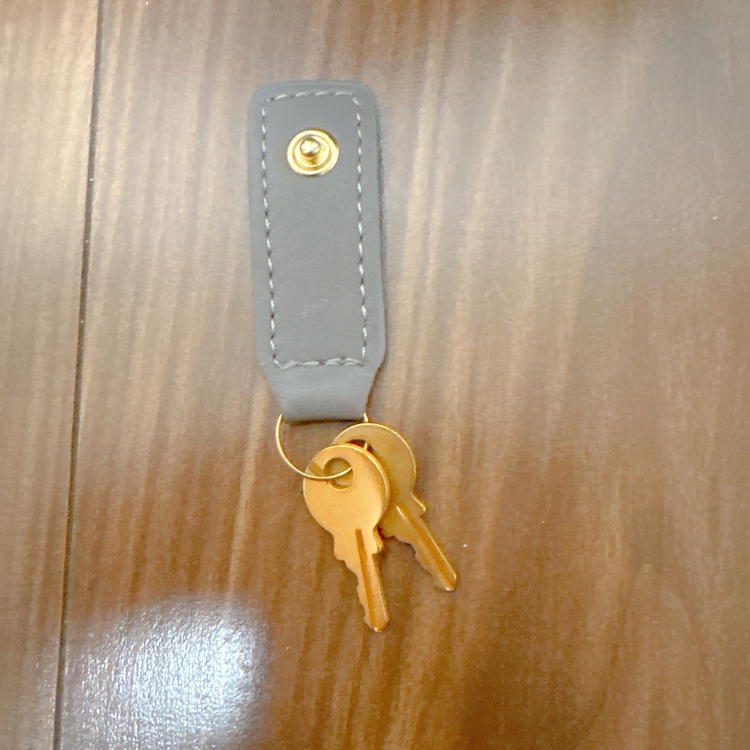 サックドジュールバック（ブランドバッグ）の商品画像 - 査定依頼日：2025年9月14日 - 最高査定価格：50,000円