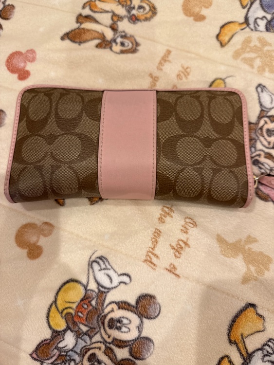 その他 コーチ （ブランドバッグ）の商品画像 - 査定依頼日：2025年9月8日 - 最高査定価格：1,000円