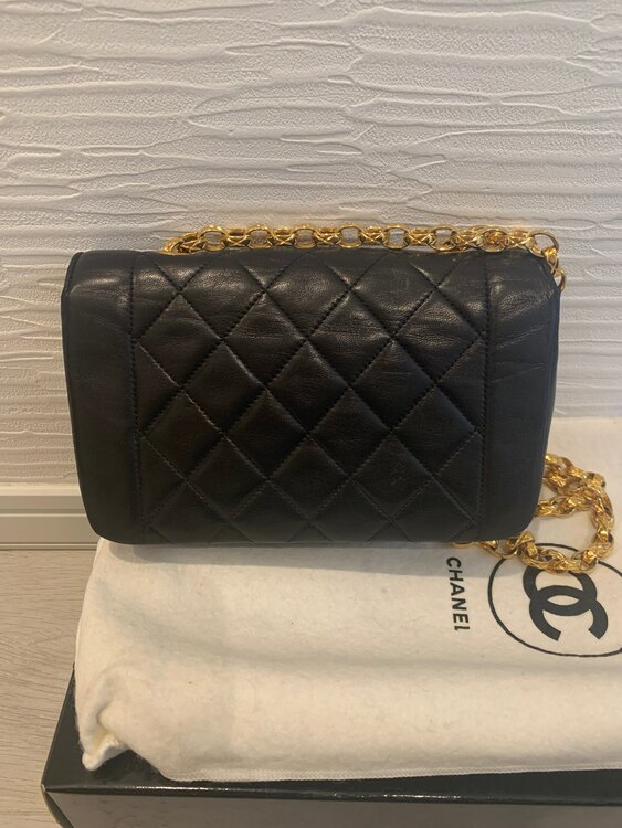 シャネル シャネル(その他) （ブランドバッグ）の商品画像 - 査定依頼日：2025年3月8日 - 最高査定価格：380,000円