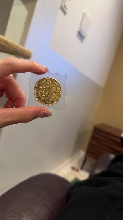 金貨（金・貴金属）の商品画像 - 査定依頼日：2025年11月22日 - 最高査定価格：404,200円