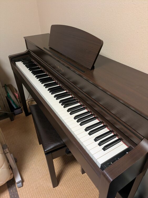 SCLP-5350 JCVN01026（ピアノ・楽器・PA機材）の商品画像 - 査定依頼日：2025年9月23日 - 最高査定価格：10,000円