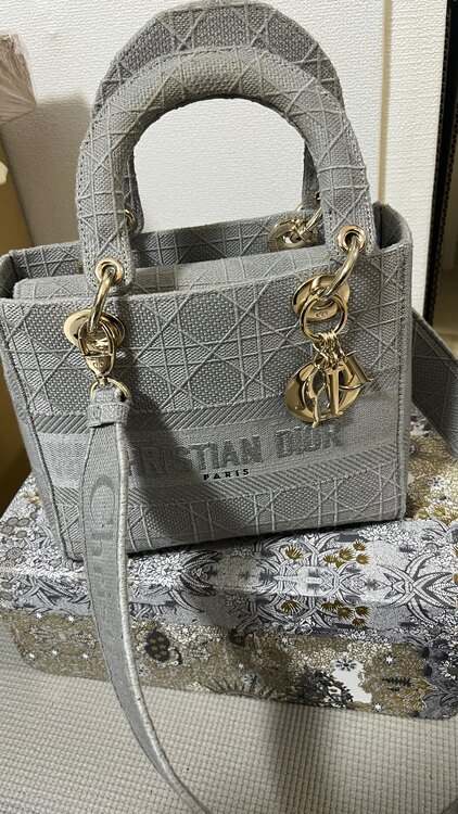 レディディオール（ブランドバッグ）の商品画像 - 査定依頼日：2025年2月16日 - 最高査定価格：170,000円