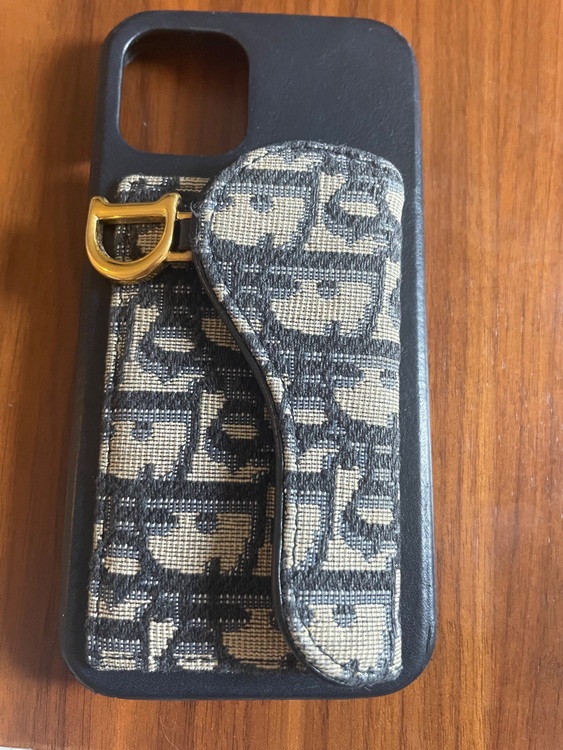 ディオール  （ブランドバッグ）の商品画像 - 査定依頼日：2025年9月15日 - 最高査定価格：10,000円