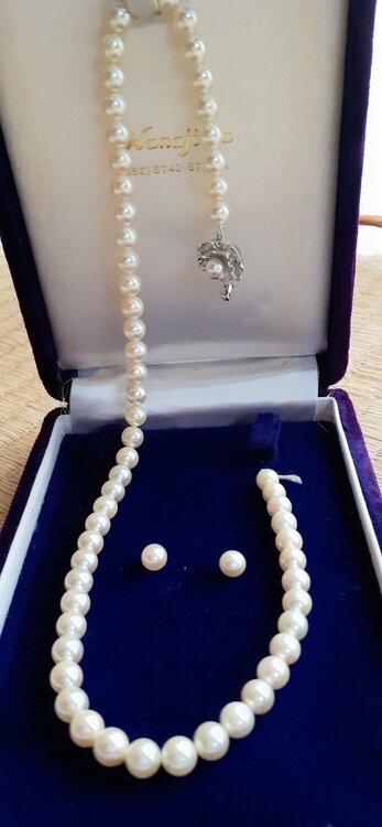 ネックレス（宝石）の商品画像 - 査定依頼日：2026年3月30日 - 最高査定価格：100円